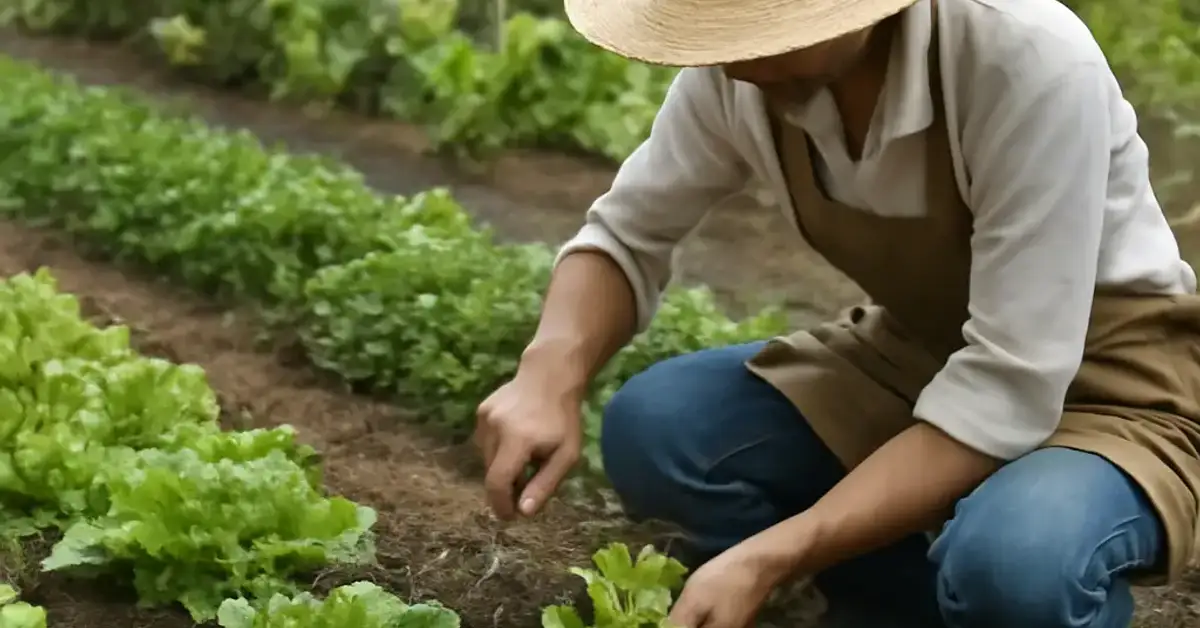 Win Kee Food Garden